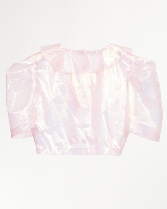 Diwata Mesh Crop Top