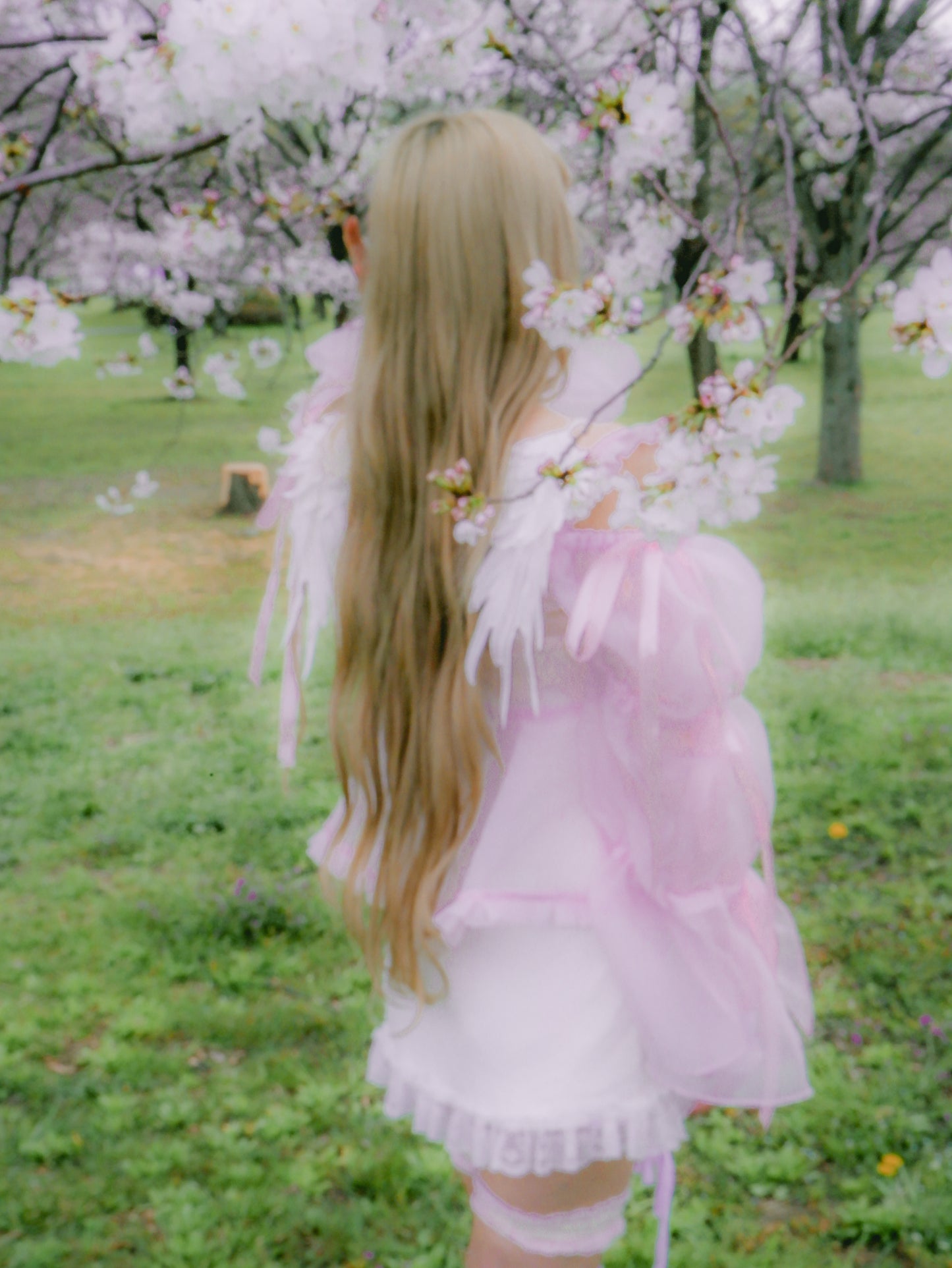 Fae-Touched Mesh Cardigan